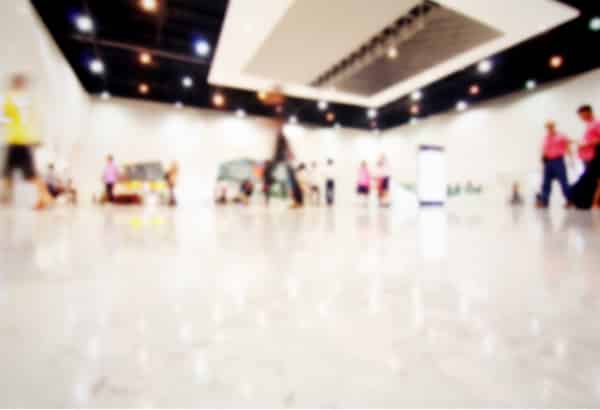 Kaleta A. Doolin, Artist and Philanthropist